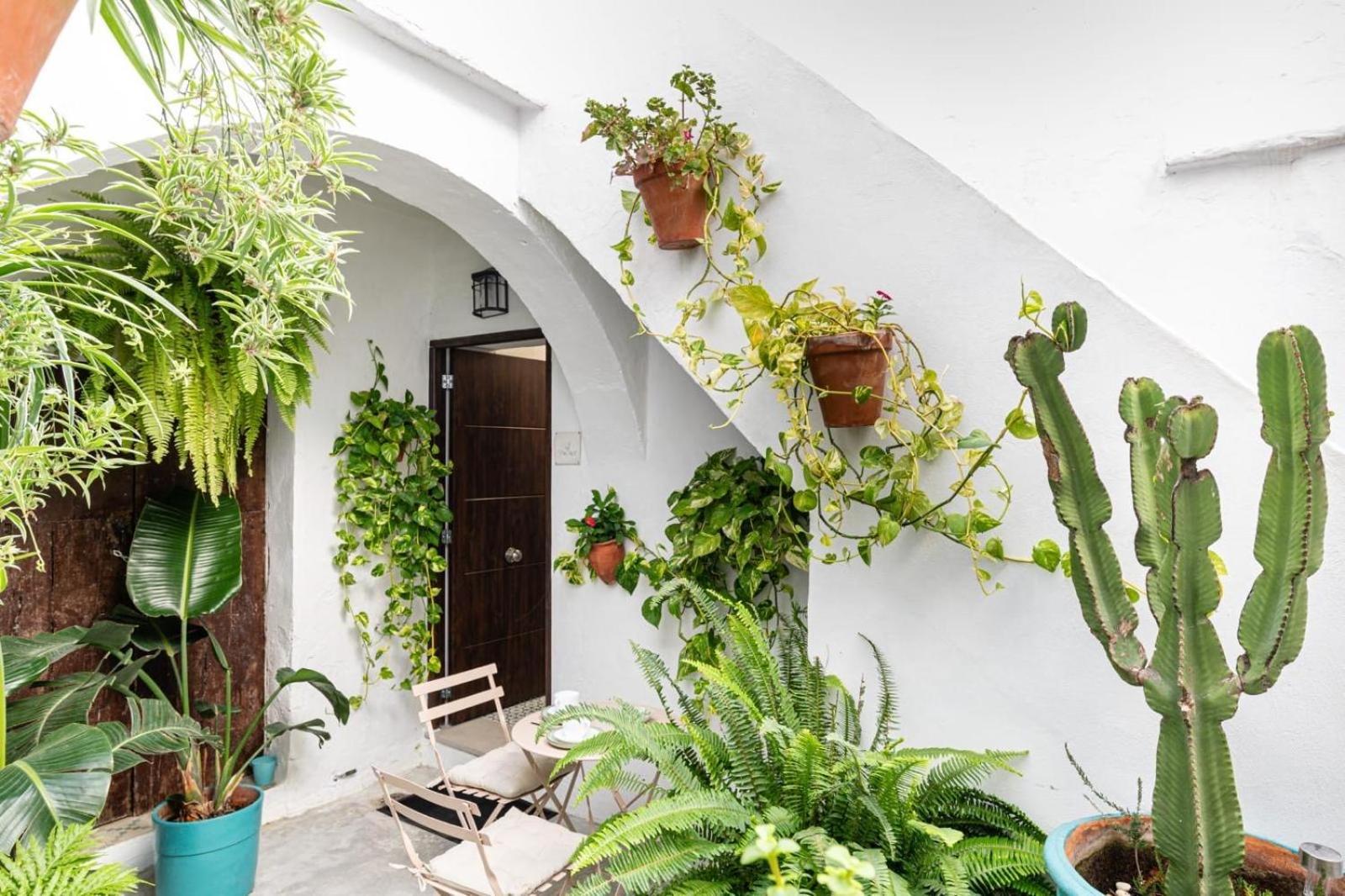 Apartament Casa La Fontana 3 Vejer de la Frontera Zewnętrze zdjęcie